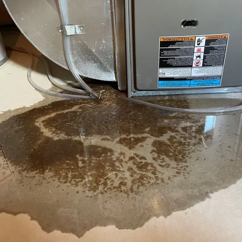 Pipe Burst and Leak Restoration in Newport, OH
