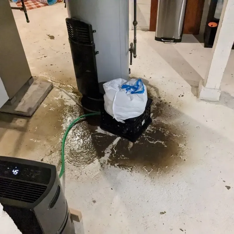 Sewage Backup Cleanup Service in Newport, OH